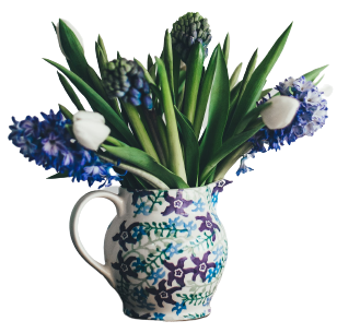 flowers-pot-img.png